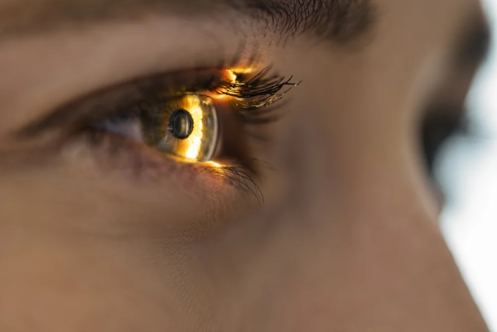 Close-up of an eye illuminated during a clinical examination